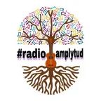 19477_Radio Amplytud.png